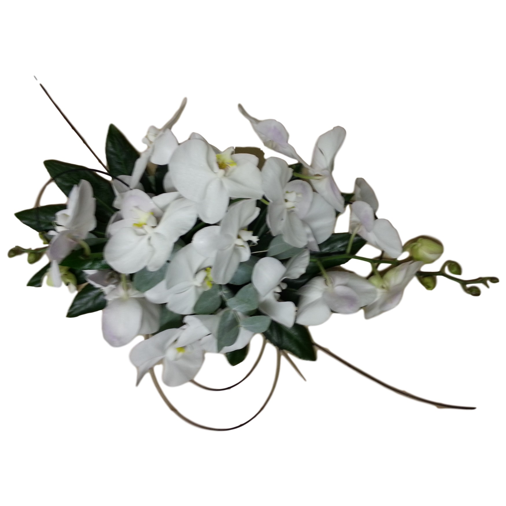 Brides Wedding Phalaenopsis Orchid Bouquet